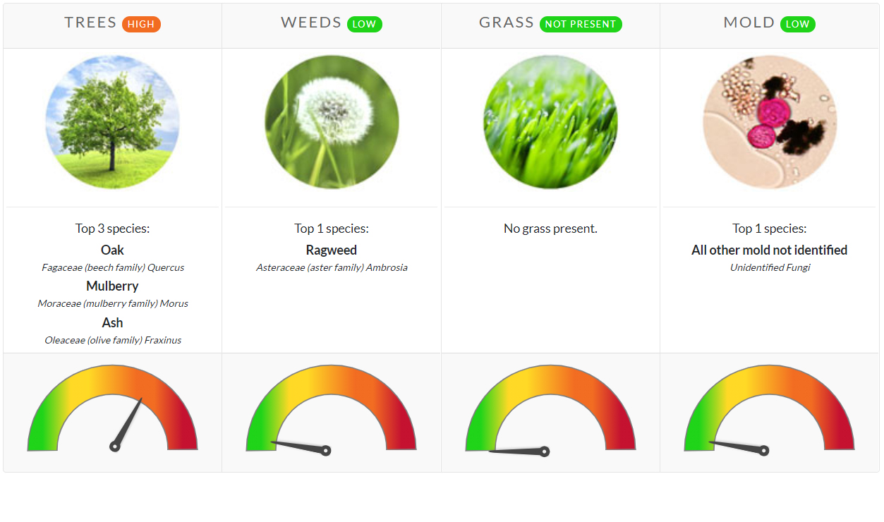 Pollen Count March 24 2021 Family Allergy Asthma Care