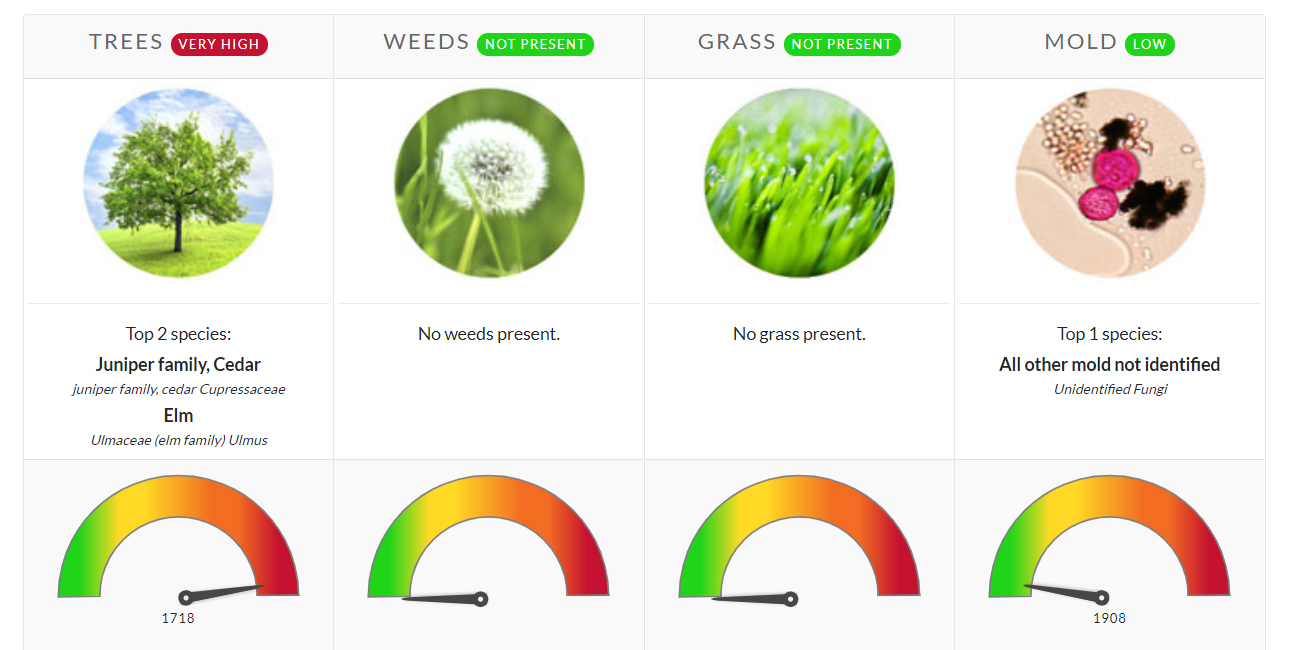 Pollen Count March 5 2021 Family Allergy Asthma Care