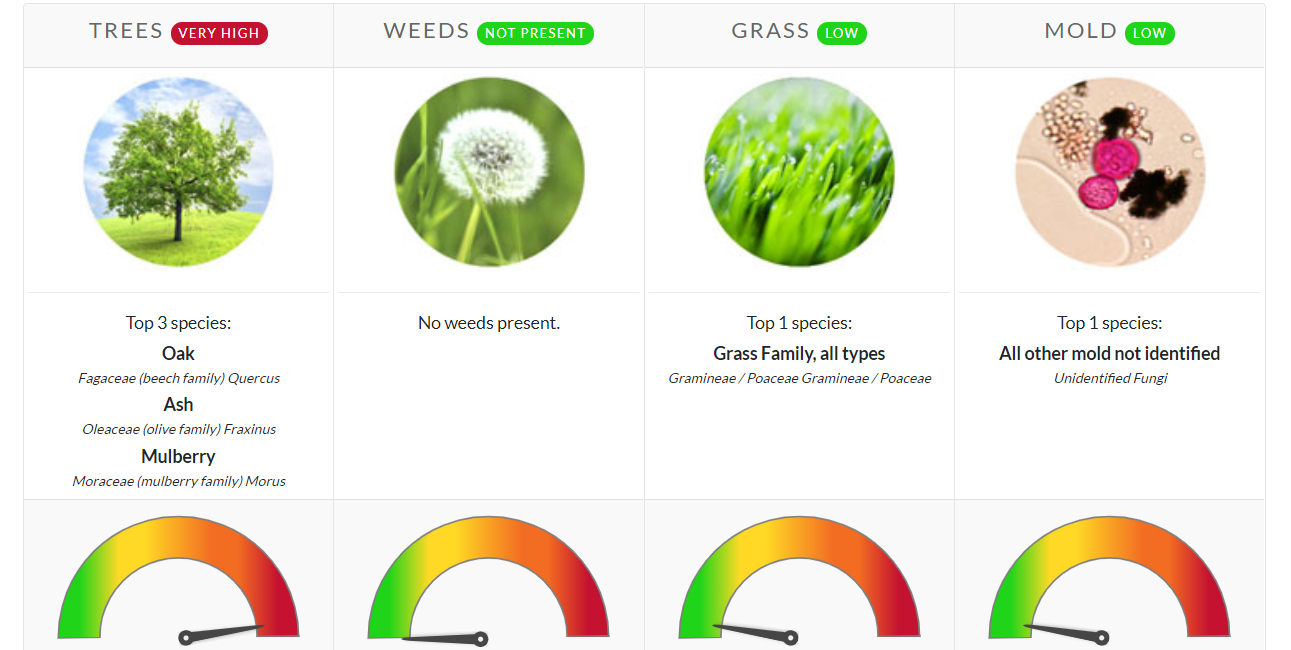 Pollen Count April 5 2021 Family Allergy Asthma Care