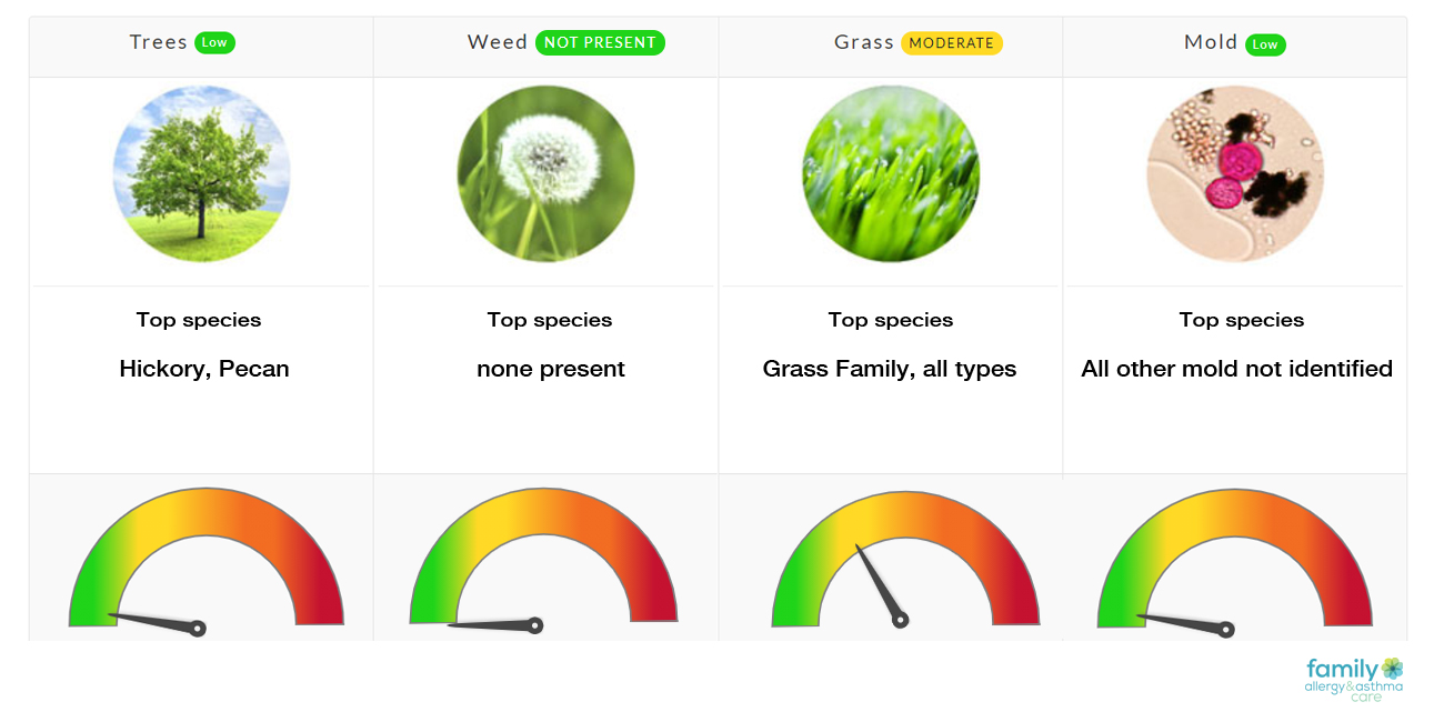 Pollen Count - May 17, 2021 - Family Allergy & Asthma Care