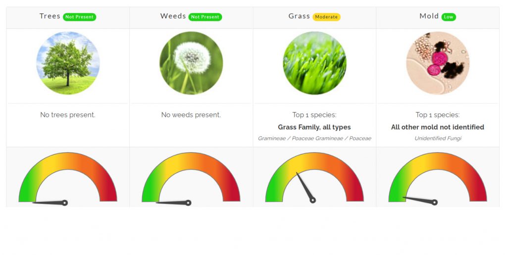 pollen count north texas grass