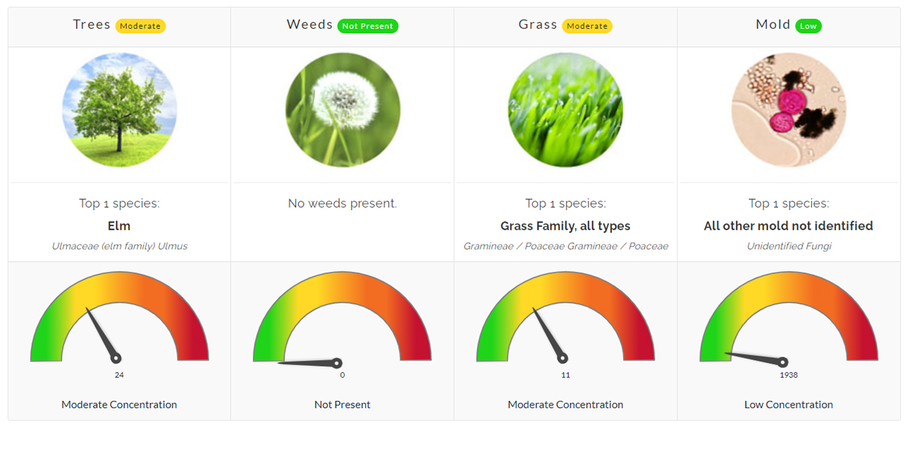 Pollen Count August 27, 2021 Family Allergy & Asthma Care