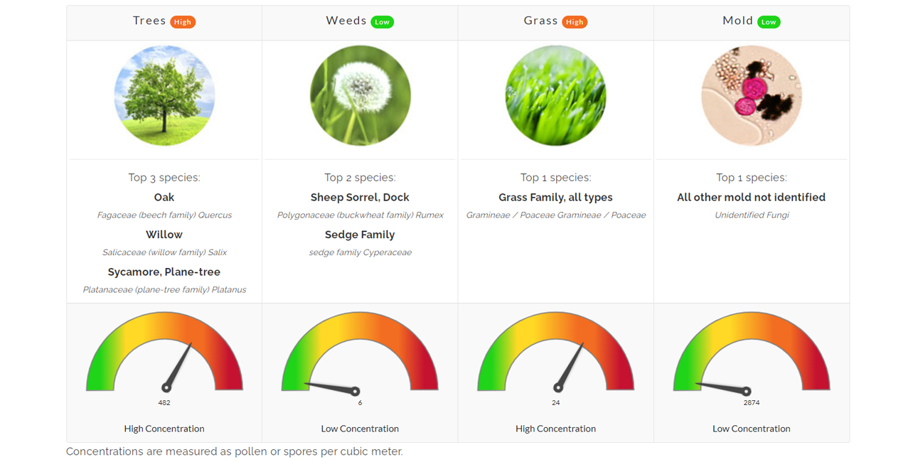 Pollen Count April 22 2022 Family Allergy Asthma Care