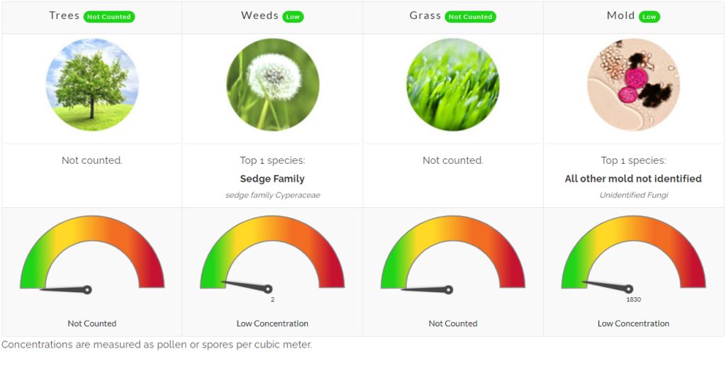 pollen count allergies asthma allergy north texas