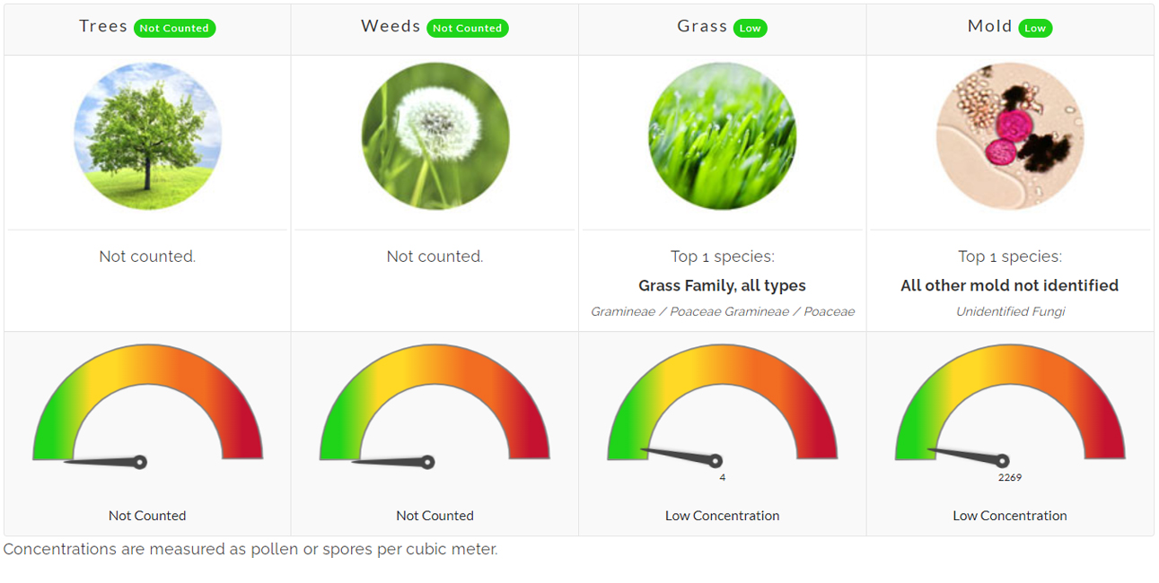 Pollen Count Update July 29, 2022 Family Allergy & Asthma Care