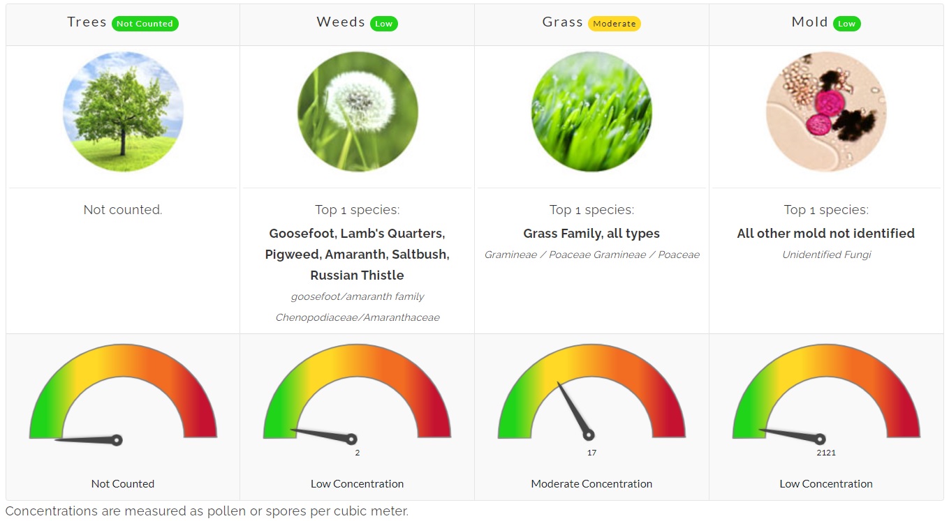 pollen-count-june-5-2023-family-allergy-asthma-care