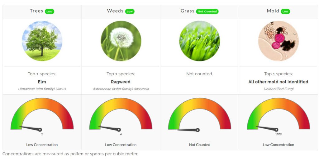 pollen count north texas allergies allergist flower mound denton