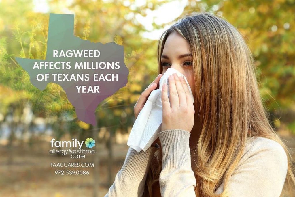 Texas is a hotspot for allergens, particularly during certain times of the year. Among the most notorious allergens is ragweed, which affects millions of Texans each year.