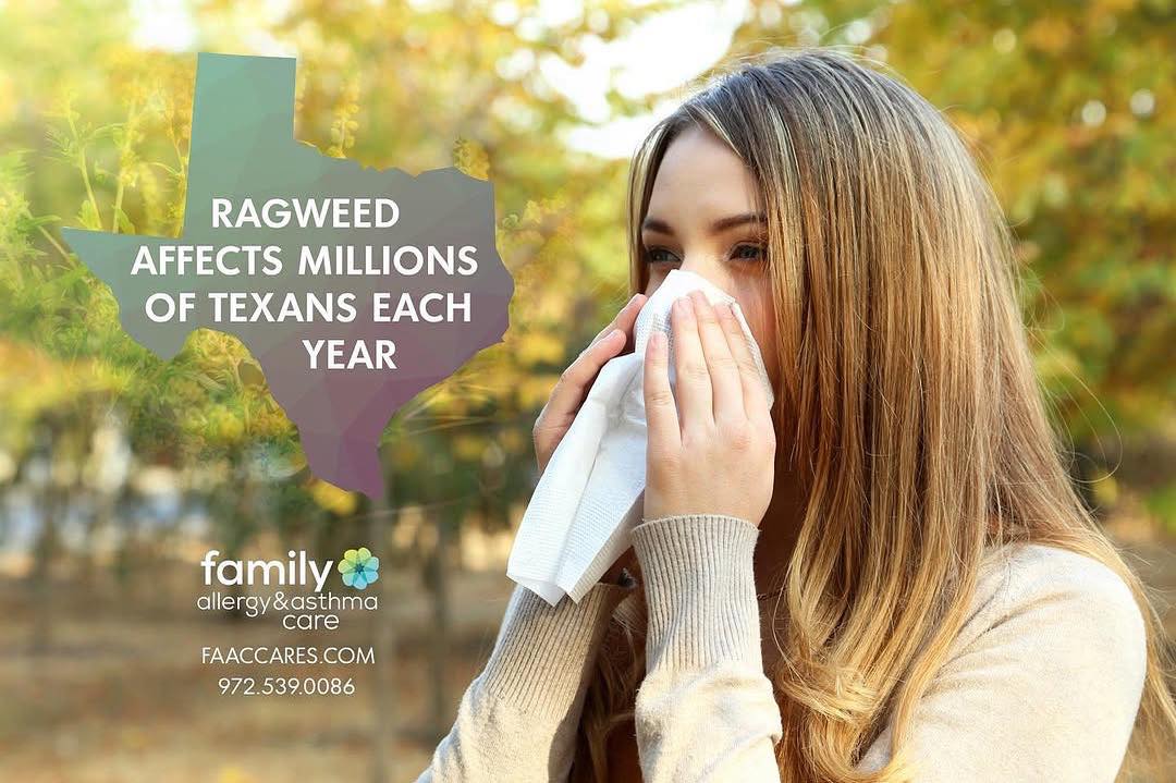 Texas is a hotspot for allergens, particularly during certain times of the year. Among the most notorious allergens is ragweed, which affects millions of Texans each year.