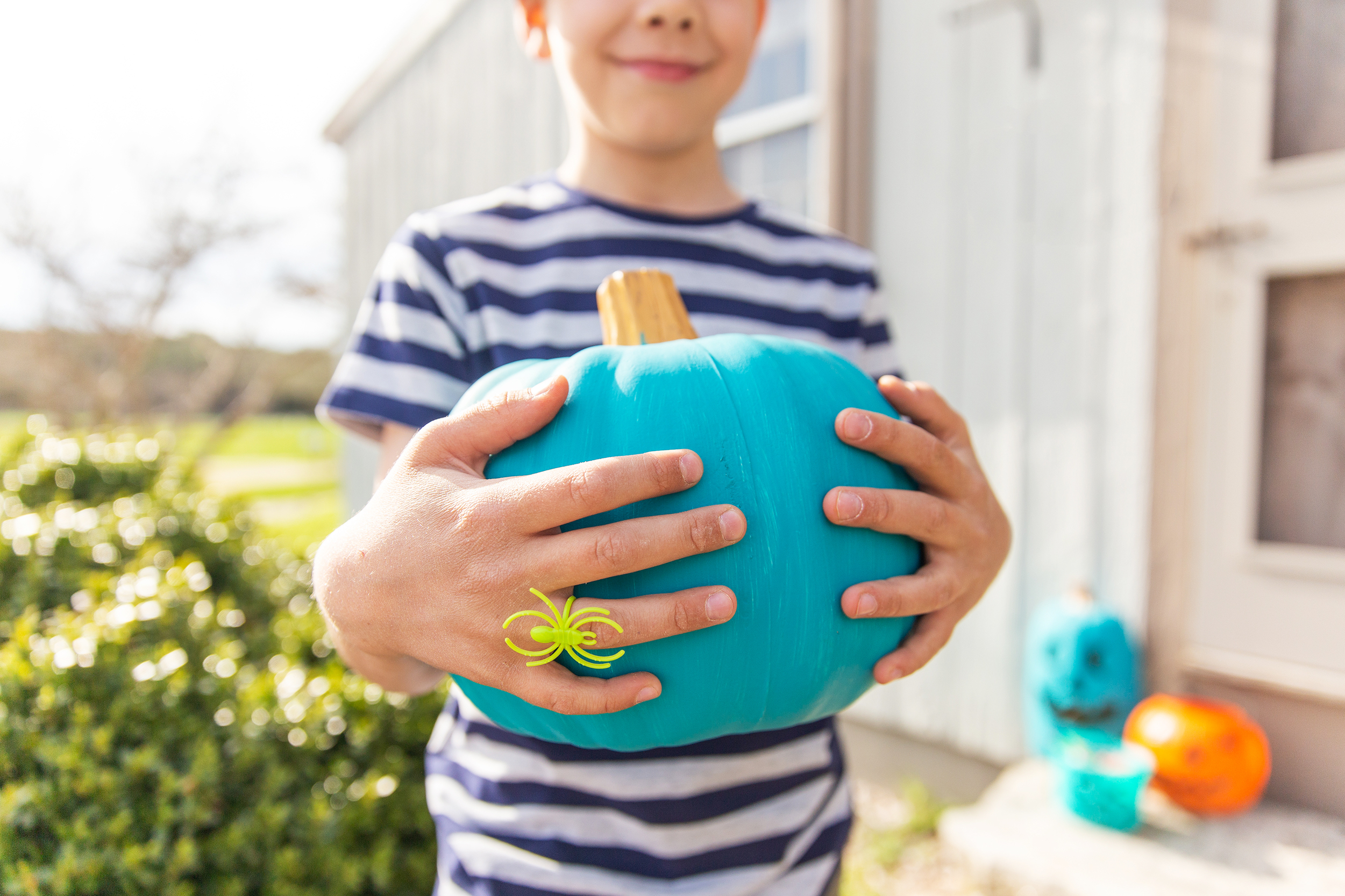 The Teal Pumpkin Project is an initiative that encourages people to offer non-food trinkets and toys in a separate bowl to make Halloween safer and more fun for all trick-or-treaters. Houses offering this option often signal their participation by putting out teal pumpkin decorations so it is easy for food allergic kiddos to identify which houses will be safe for them to visit.